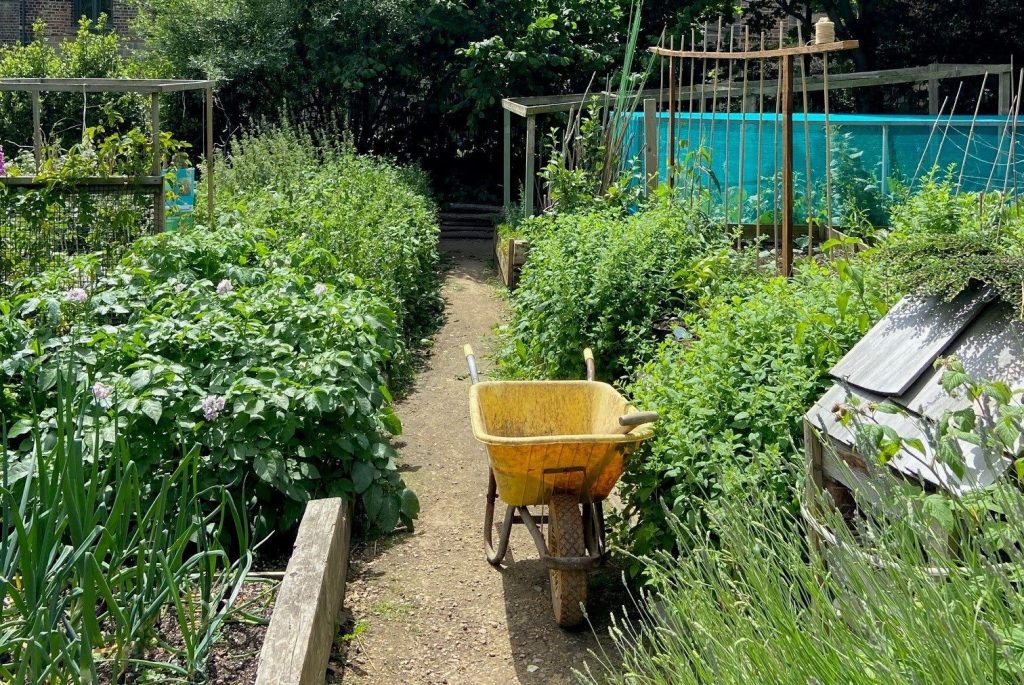 What is a Forest Garden and why should you consider one for your landscape project?