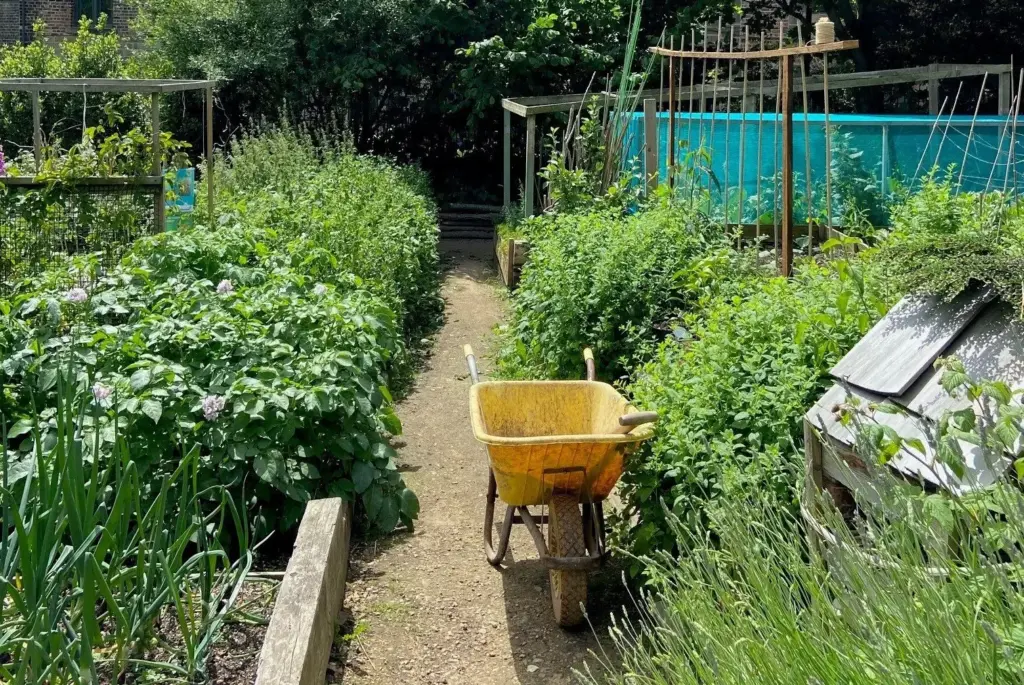 What is a Forest Garden and why should you consider one for your landscape project?