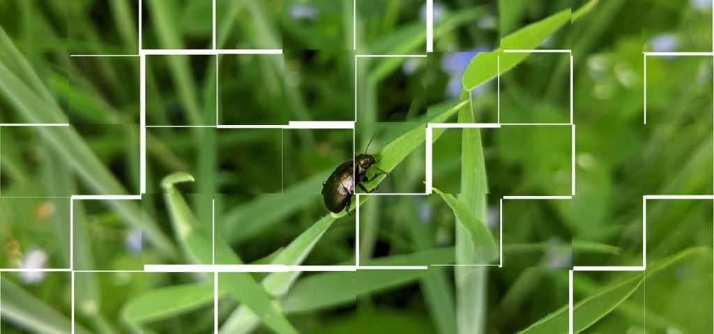 Landscape Architecture – How we use science in our approach