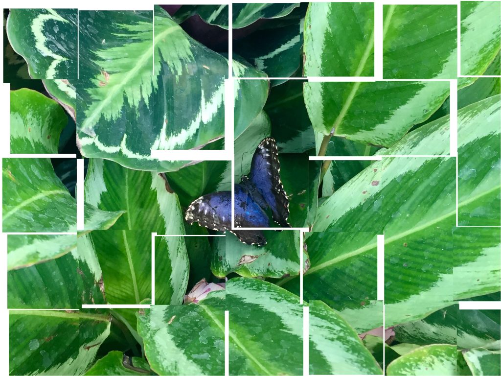 Landscape Architecture – How we use science to designing inspirational spaces