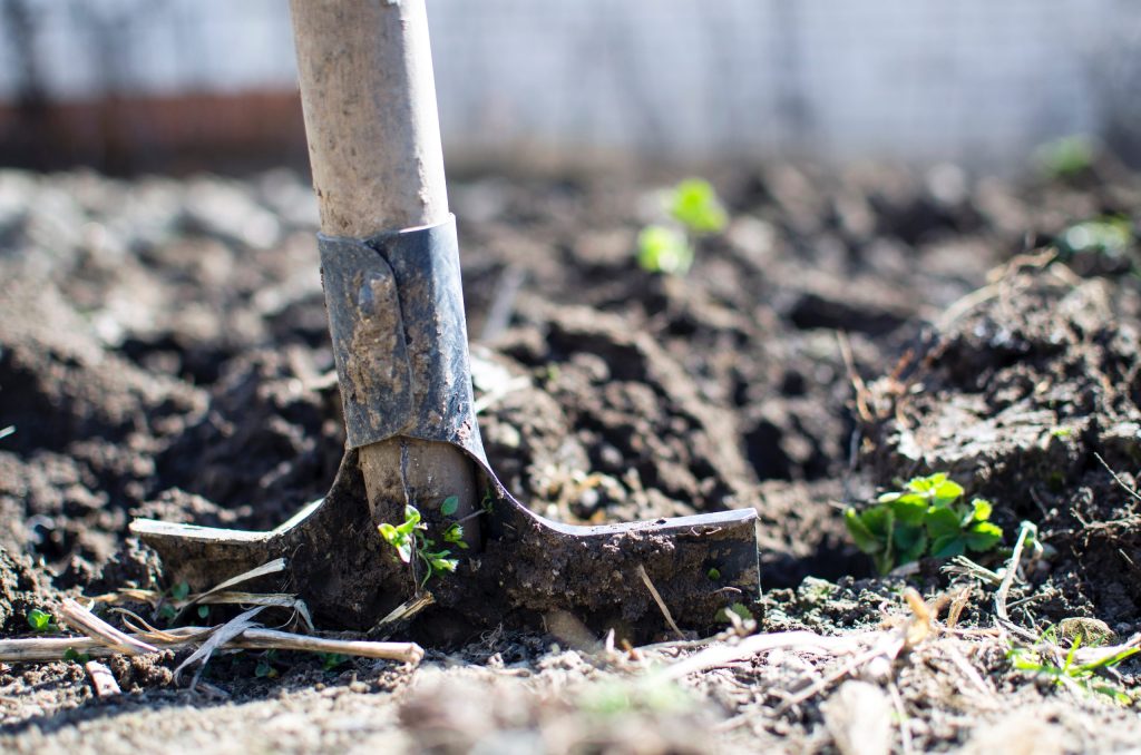 The importance of good soil management
