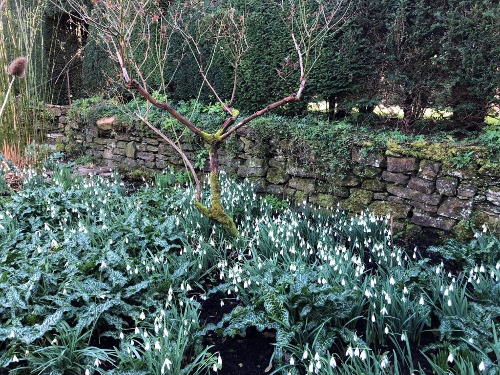 Preparing for spring