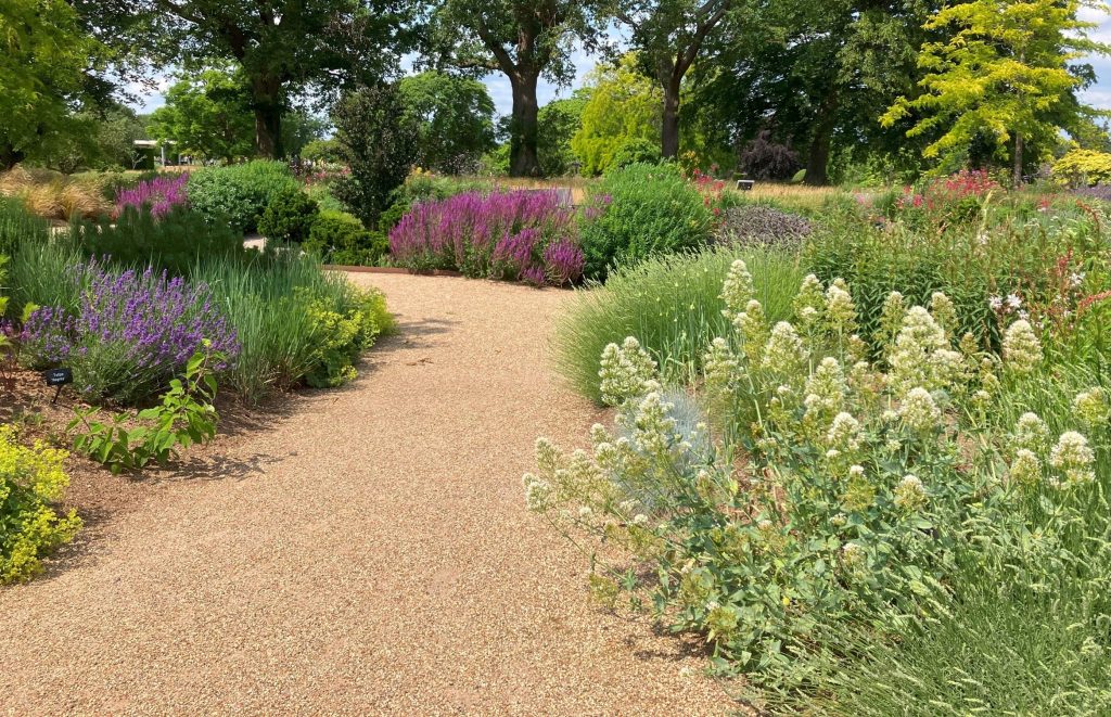 The Return of the Native?