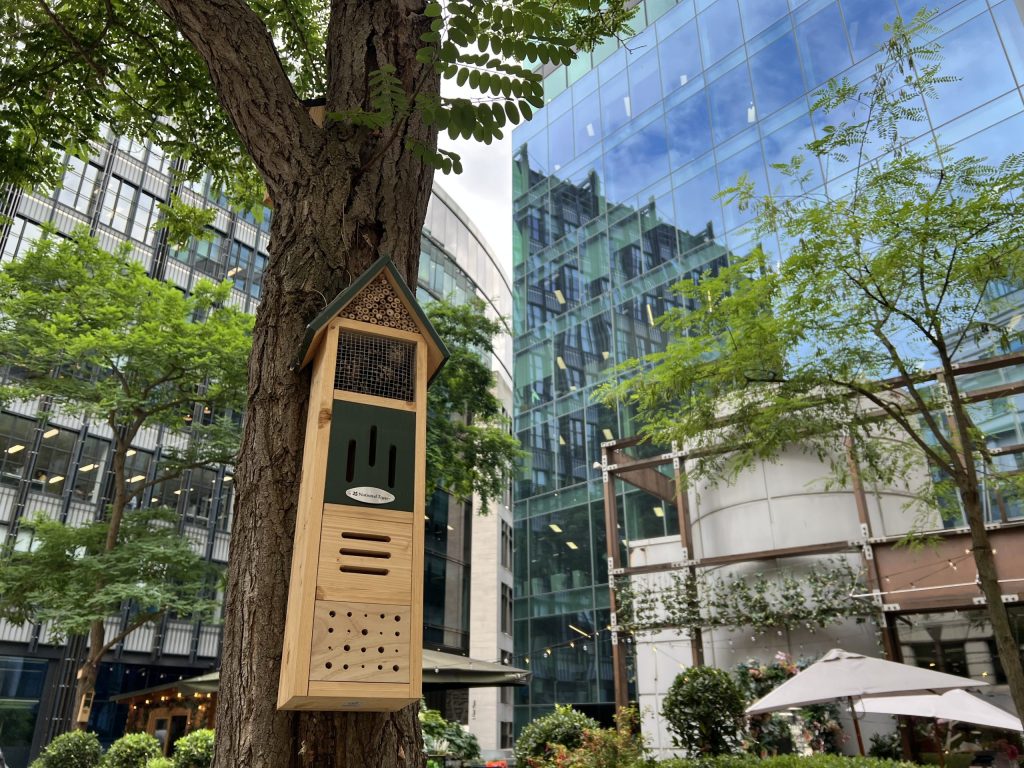 Wild Cities: Why Urban Biodiversity Matters and How We Can Help