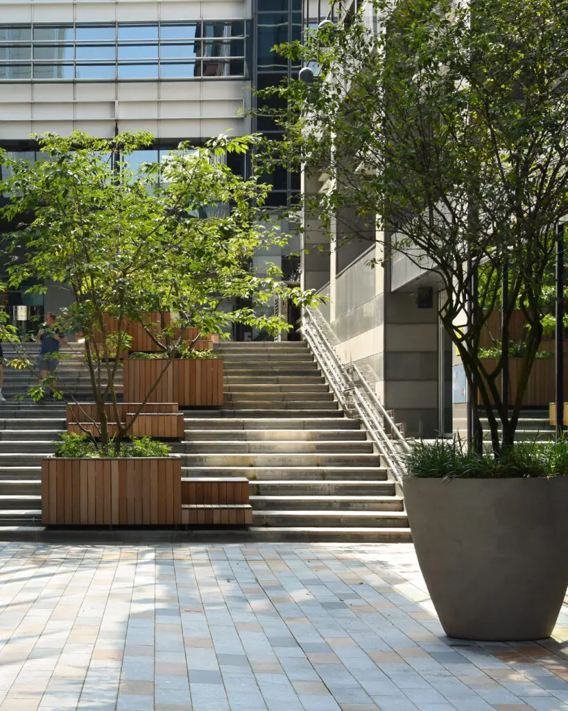 The Role of Trees in Spatial Dynamics